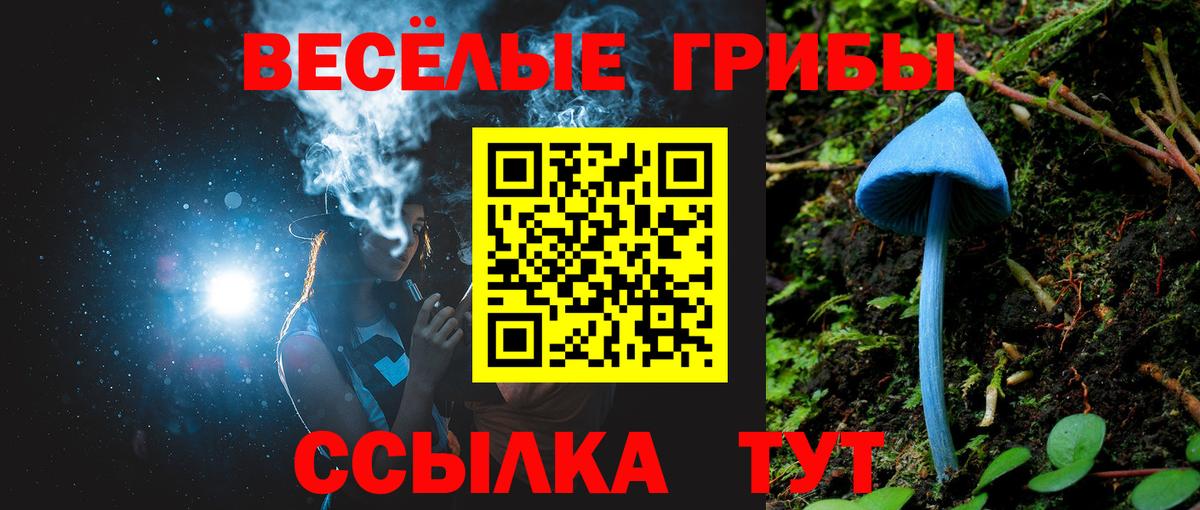 Галлюциногенные грибы GOLDEN TEACHER  Вход с VPN  Ливны 
