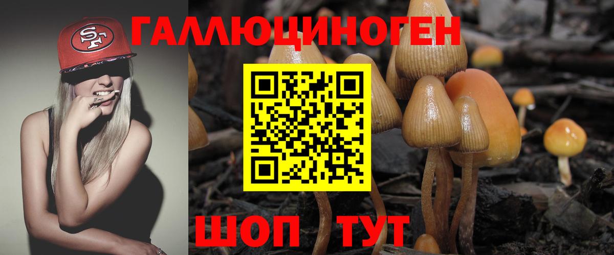 Галлюциногенные грибы Psilocybine cubensis Ливны